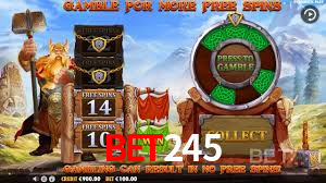 Premium Interface bet245